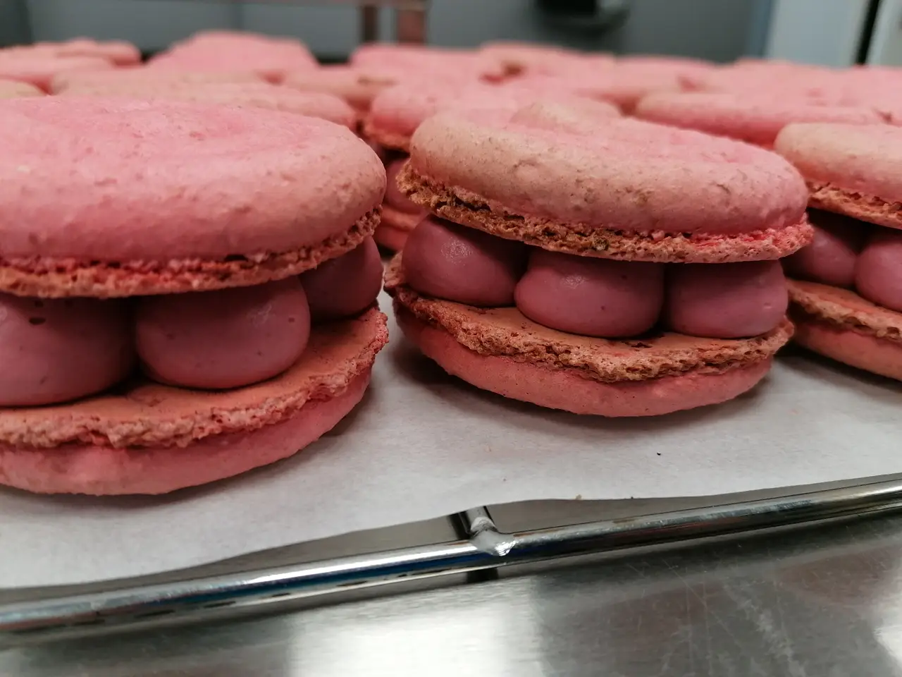 Macaron framboise 